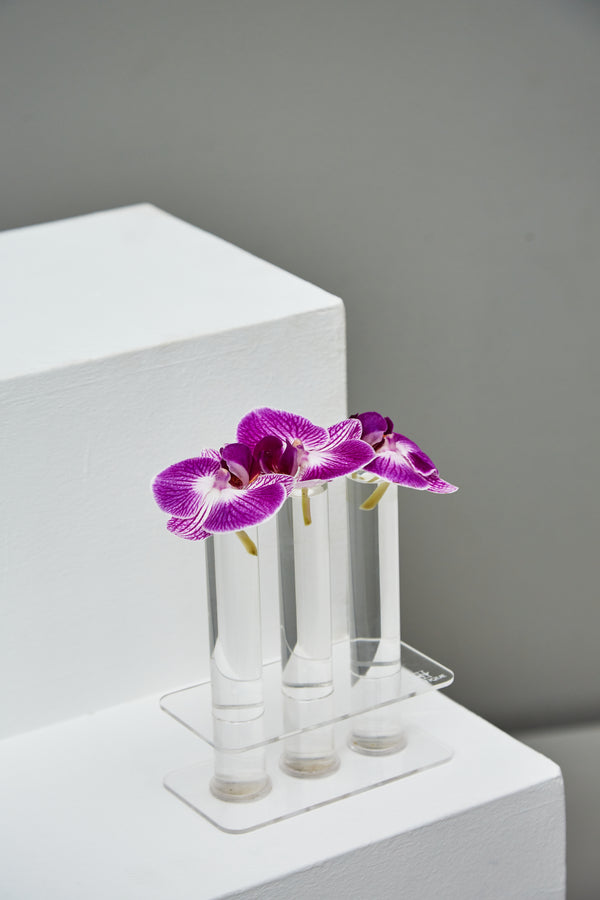 3 Tubes Vases